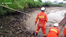 Firefighters rescue elderly woman trapped in muddy pond