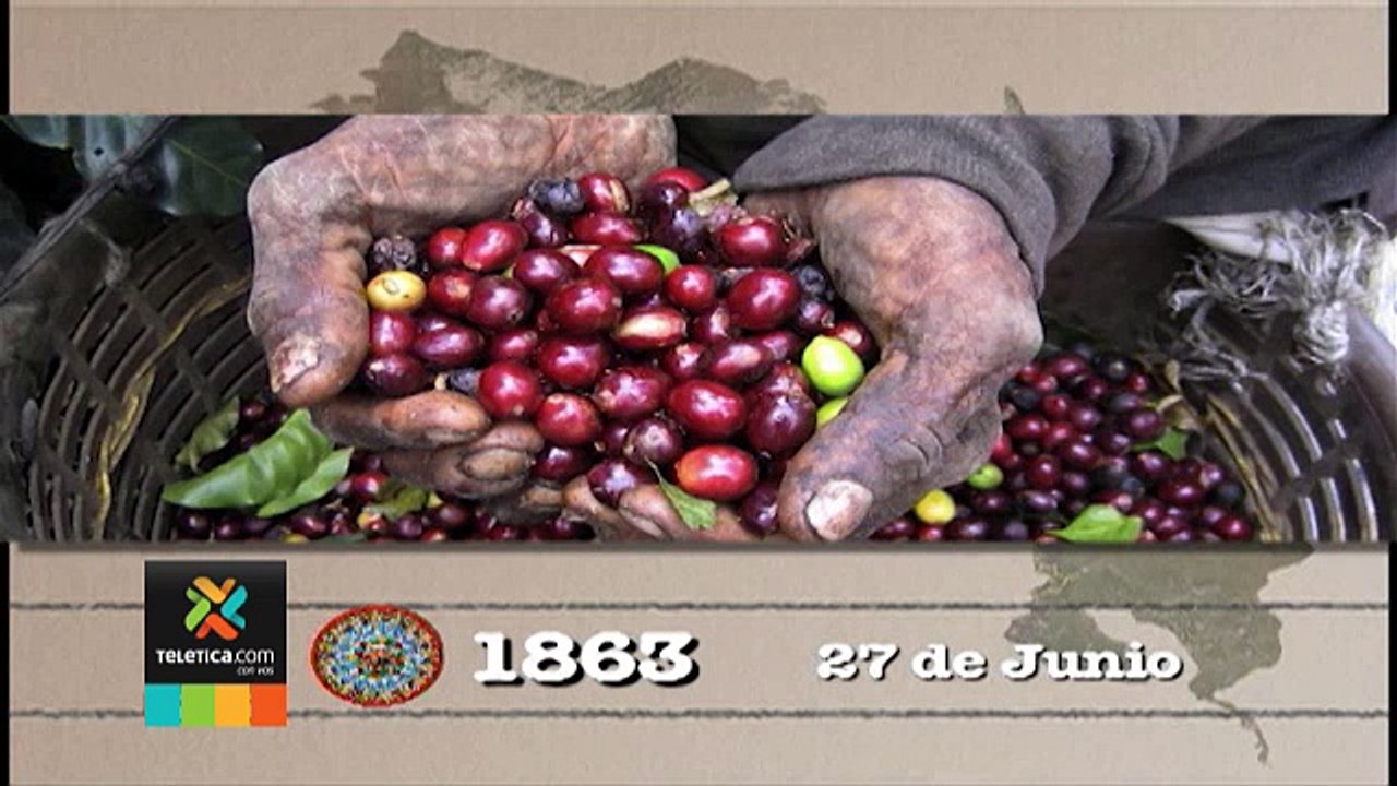 tn7-hoy-270617