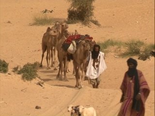 INCH'ALLAH TOMBOUCTOU