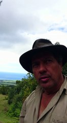 Les feux de forêt à La Réunion sont un grand danger pour notre biodiversité