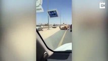 Otoyolun Ortasında Çiftleşen Develer - Dubai
