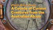 A Coterie of Curious Creatures from the Australian Abyss