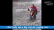 Amazing Man Rescues Dog From Freezing Water Video 2017 - Daily Heart Beat