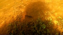 Água potável, mergulho em busca das nascente do alto do Rio Paraibuna, Natividade da Serra, Ubatuba, SP, Brasil, serra do Mar, 2017, apneia contemplativa, cachoeiras