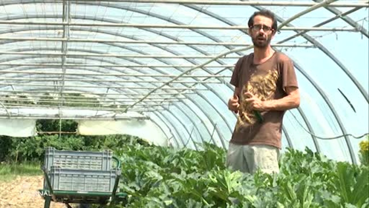 Vendée : Un nouveau départ pour la ferme Vergne Babouin