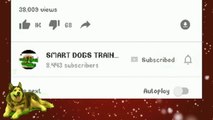 How To Train Your Dog to BARK& STOP BARKING in Hindi _ dog training i