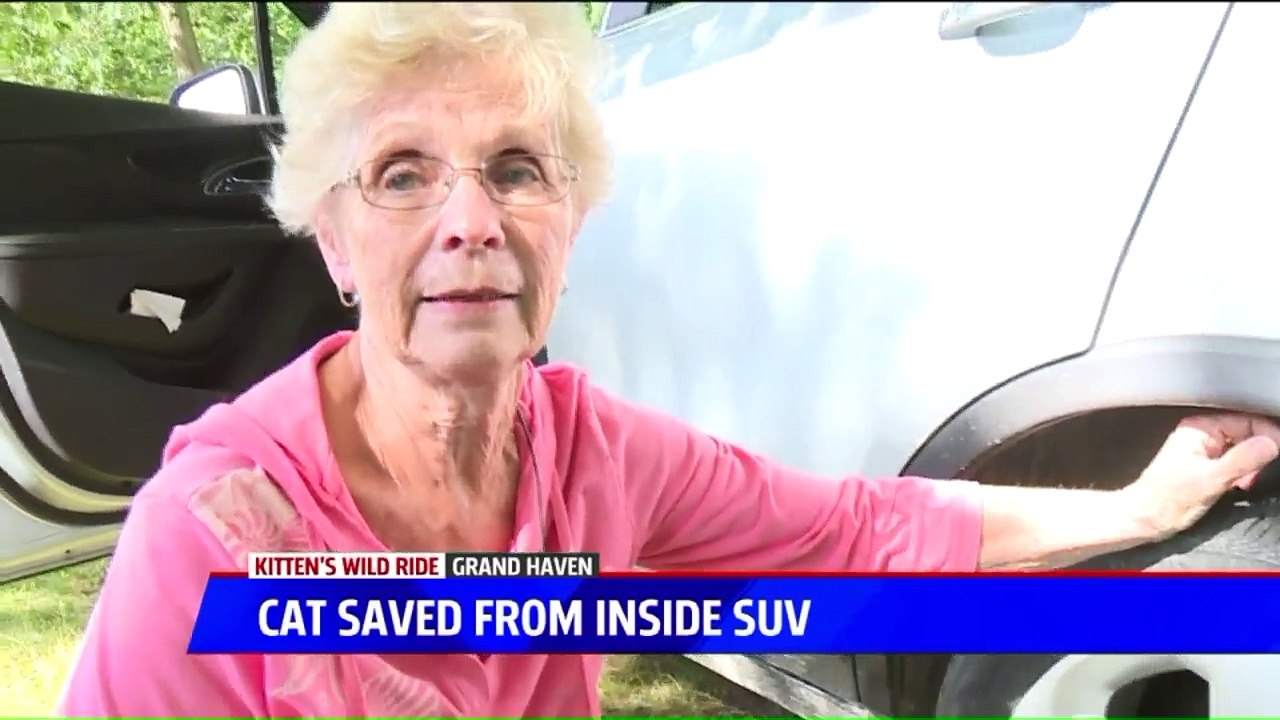 Mechanic Rescues Kitten Trapped in Wheel Well of SUV