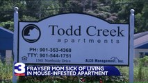 Tennessee Mother Says Management Not Doing Anything About Mouse-Infested Apartment