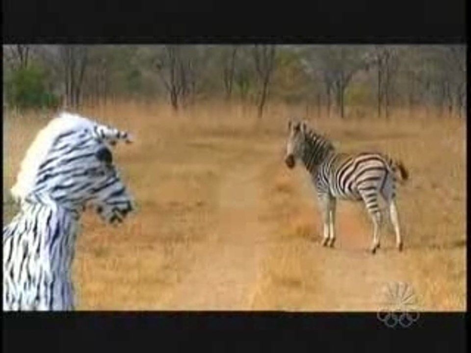 Wildboyz_ everybody hurts