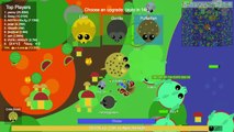 Mope.io DONKEY KILLS TWO BLACK DRAGONS WITH ONE KICK | Best Mope.io Kill Of All Time