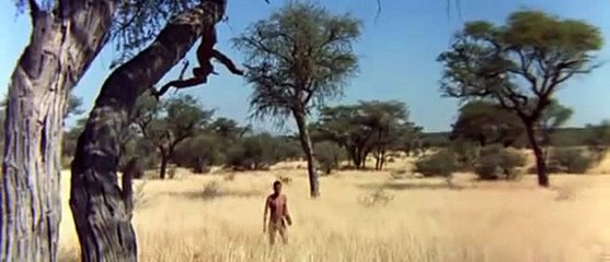 download video the gods must be crazy part II 1980 full movie