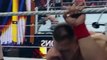John Cena vs Brock Lesnar - John Cena Almost Die - WWE FAN NATION