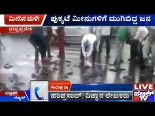 It's Raining Fish In Yellur Of Andhra Pradesh!!!!