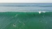 Dolphins Join Surfers at South African Beach