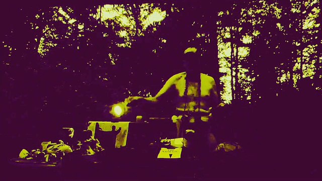 Alaskan Grizzly: The Magic of the Golden Grizzly & its Fur.