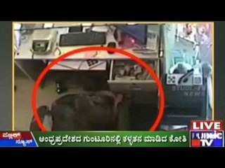 Monkey Steals Ten Thousand Rupees From Shop's Cash Box In A.P