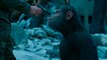 'War for the Planet of the Apes': Reviewers Rave | THR News