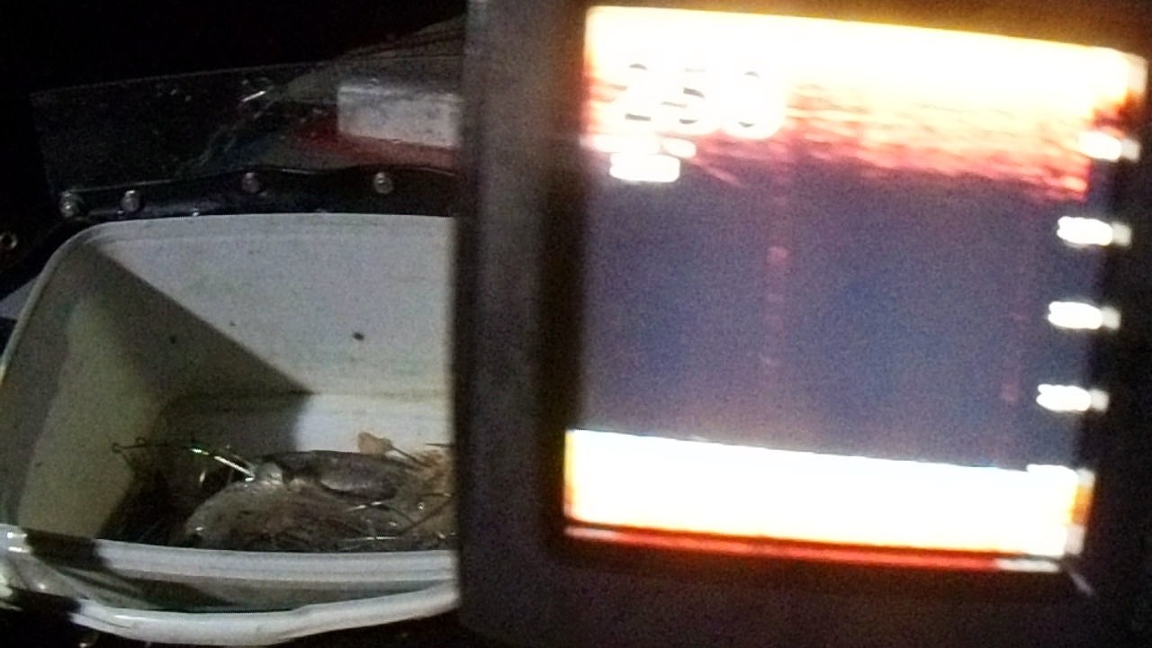 pêche aux calmars de nuit au moulinet électrique