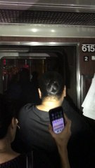 Train Derailed and Passengers Escape to Safety