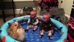 Twin Babies Can't Stop Giggling At Their Pomeranian