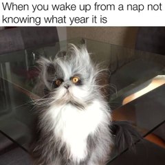 When you wake up from a nap not knowing what year it is