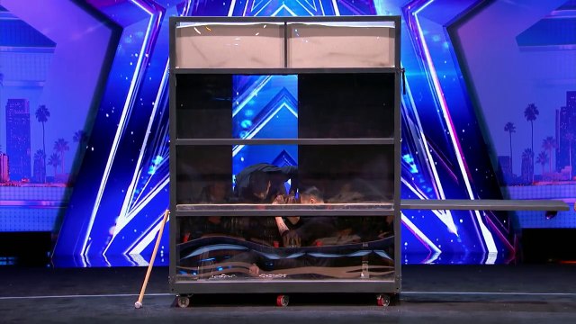 Demian Aditya: Escape Artist Risks His Life During AGT Audition Americas Got Talent 2017