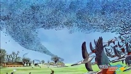Top 10 Animals That Are Now Extinct Because of Humans