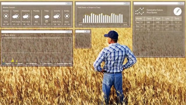 Top 10 Proyectos - Los proyectos más avanzados de Microsoft en areas como la salud, economía o inteligencia artificial