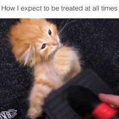 How I expect to be treated at all times