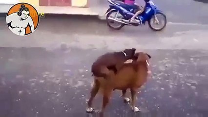 The most dangerous guy on the planet - Chinese version part 3