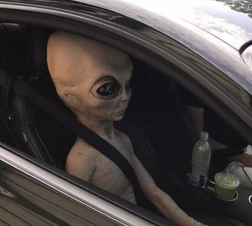 Alien passenger discovered in car pulled over for speeding