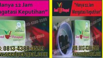 Harga Seedperapat HUB: 0813-4388-3599