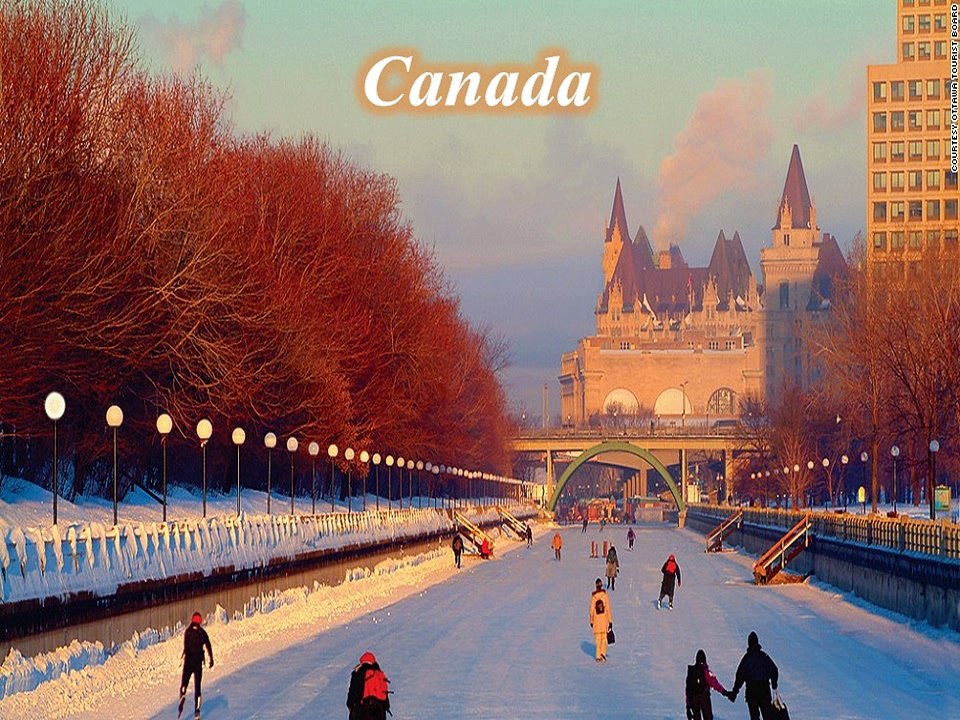 Sync Visa Customer Review and Feedback -Canada