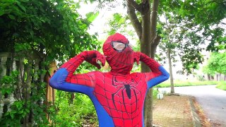 Spiderman Car Was Venom & Joker Dance w- Superman Police Arrest Thief Joker Superhero funny