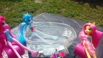 Increíble muñecas consigue Chicas secuestrado poco mi poni y juguete vídeos Fluttershy equestria