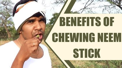 Neem twigs chew | Amazing health benefits; Check out here | Boldsky