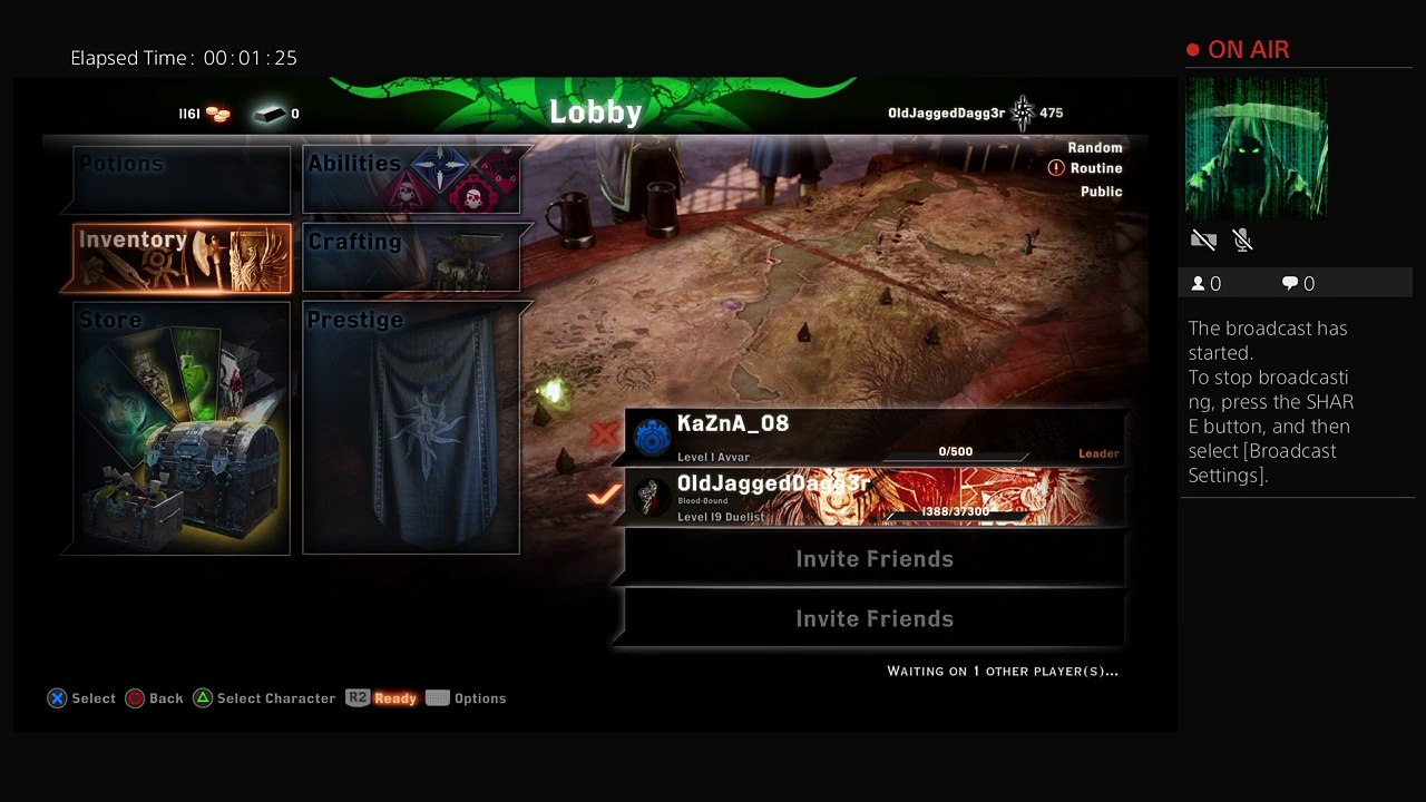 Dragon age duelist multiplayer (14)