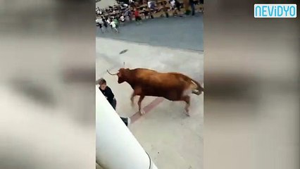 Boğa trafiğini alt üst eden adam