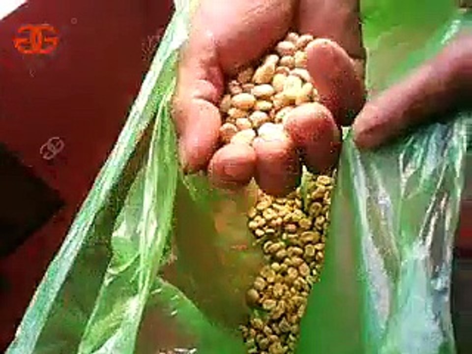 coffee beans huller video, coffe bean peeling machine