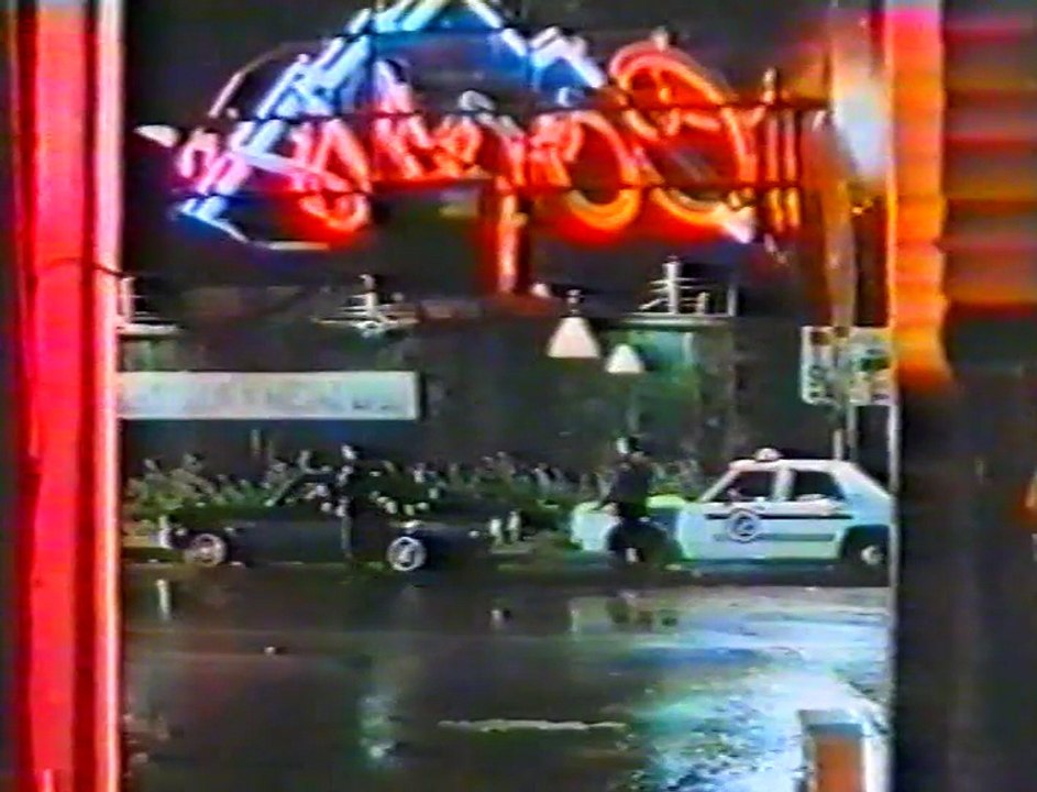 Renegades (1989) - VHSRip - Rychlodabing