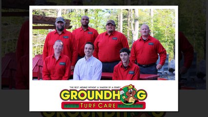 Mosquito Spraying Derry - Groundhog Turf Care (603) 505-8587