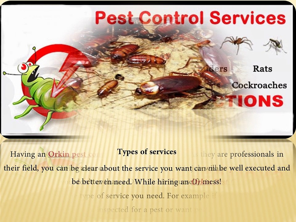 Best Choice PC Provides Professional Orkin Pest Control Services