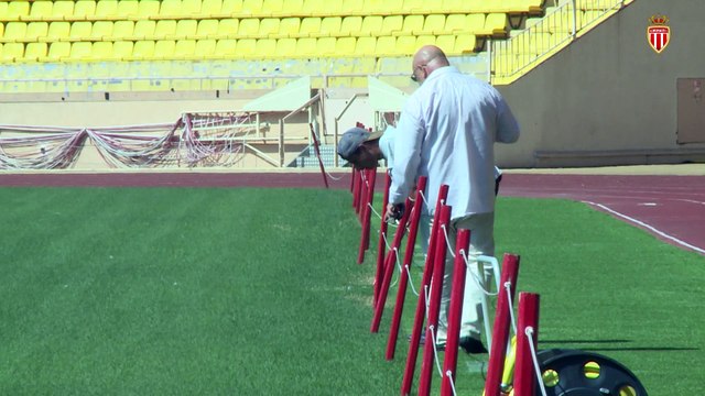 La pelouse fait peau neuve