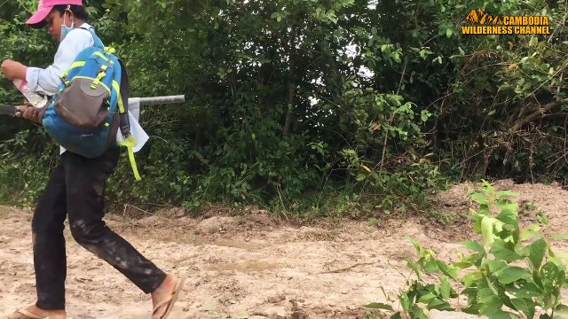 Awesome Quick Bird Trap Using Paiute Deadfall Bird Trap How To Make Paiute Deadfall Bird T