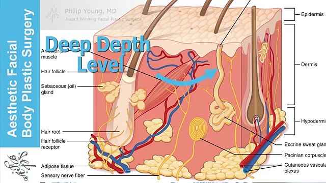 DIY - Do It Yourself Yogurt Grapefruit Peel & At Home Chemical Peels to Improve Your Skin Seattle