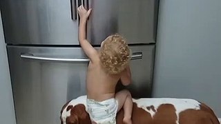When your baby and your dog team up to loot the fridge -