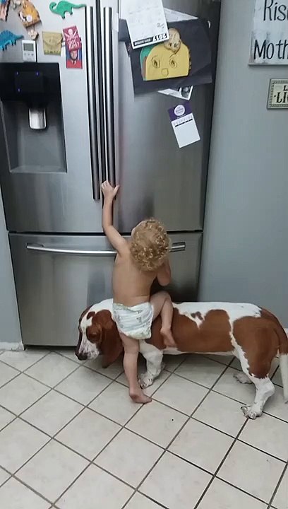 When your baby and your dog team up to loot the fridge -