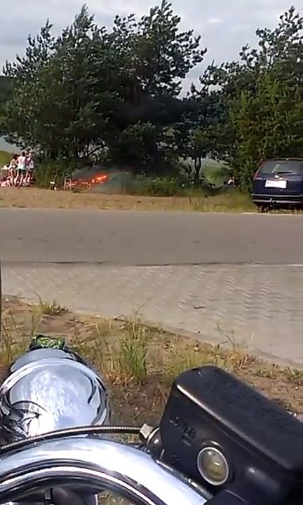 Une famille fait un barbecue au bord d'un lac et provoque un début d'incendie