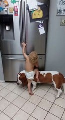 Ce bébé et ce chien s'allient pour attraper de la nourriture