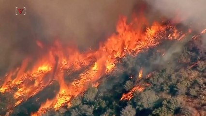 'Big Bang Theory' Star Loses Ranch In Massive California Wildfire